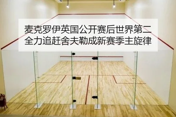 mai-ke-luo-yi-ying-guo-gong-kai-sai-hou-shi-jie-di-er-quan-li-zhui-gan-she-fu-lei-cheng-xin-sai-ji-zhu-xuan-lv-2-672.jpg
